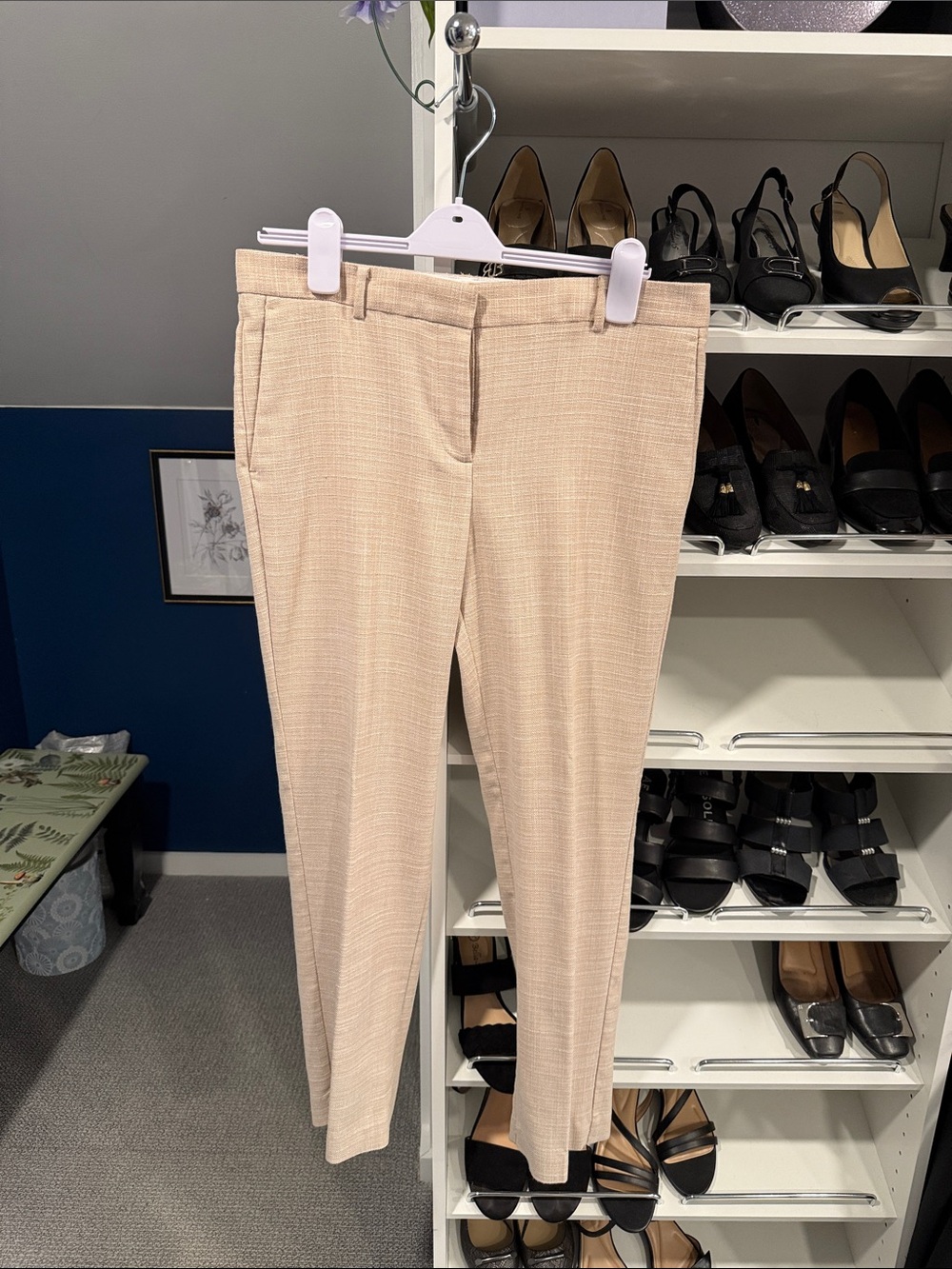 Ann Taylor Tan Tailored Pant